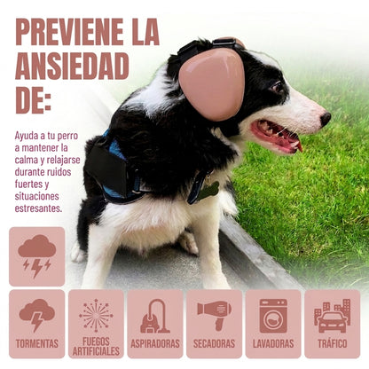 Orejeras para Perro para protección auditiva